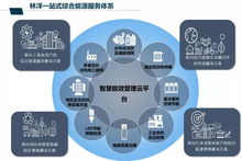 林洋能源2018年業(yè)績穩(wěn)增 營收40億顯示能源業(yè)韌性